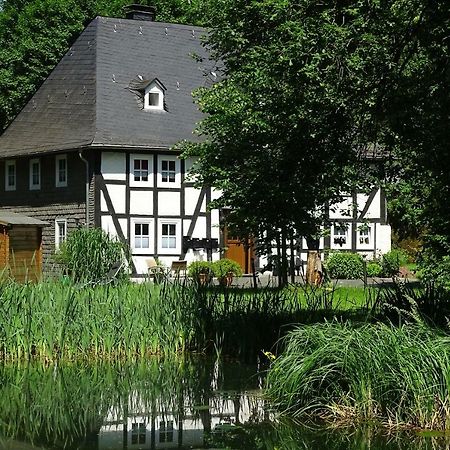 Ferienwohnung "Kleine Auszeit" Ольсберг Экстерьер фото